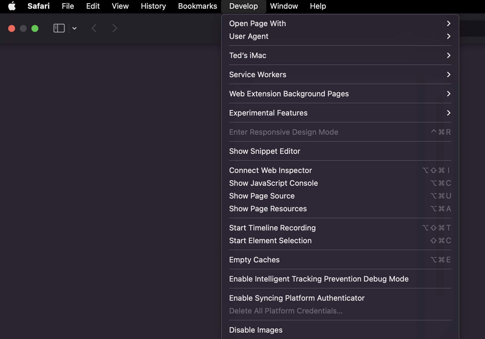 safari_cache_screenshot.png